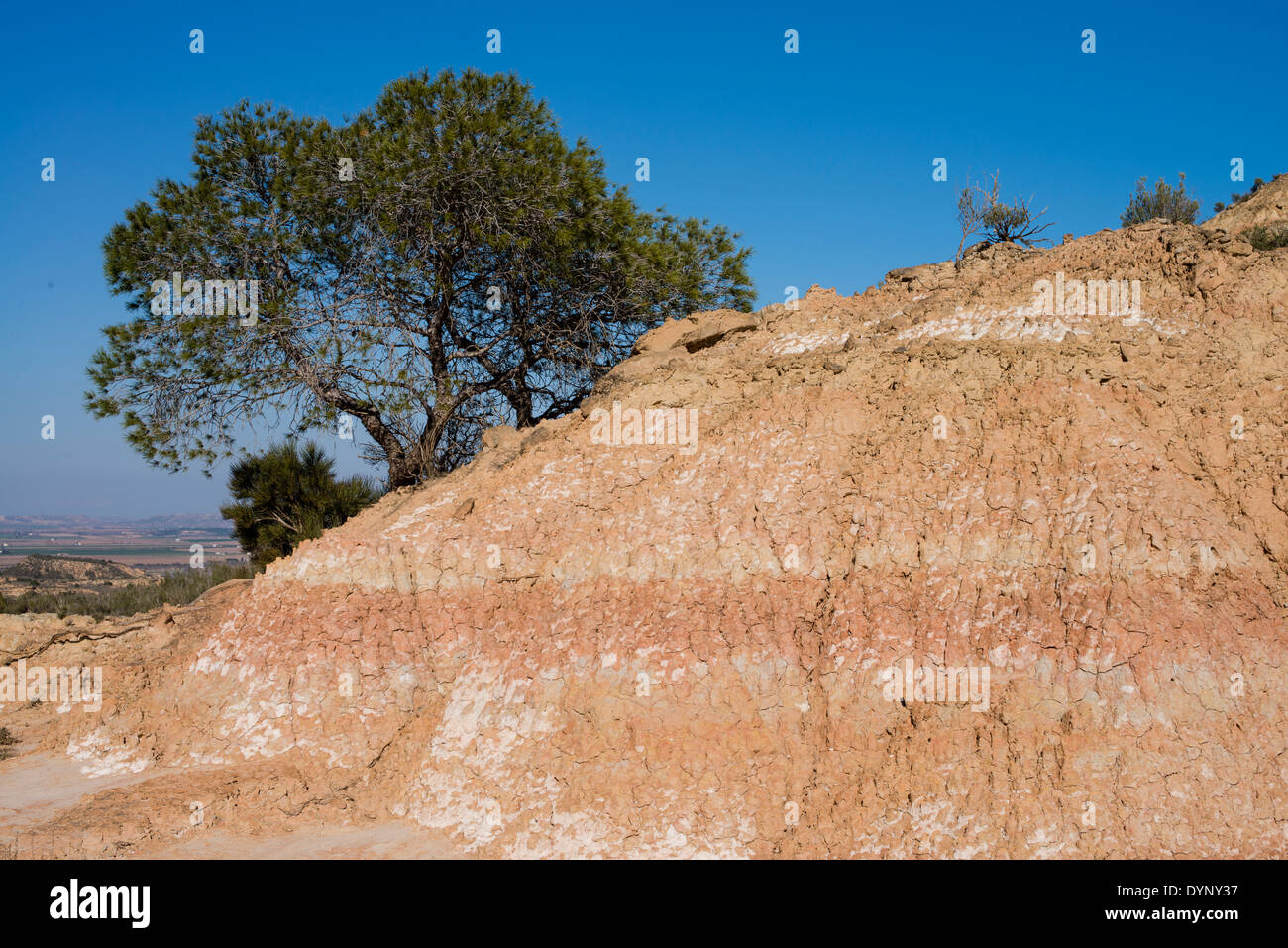 Erosion durch Wind und Regen an den Hängen des lehmigen Boden, einschließlich der Schichten aus verschiedenen Farben, Monegros, Spanien Stockfoto