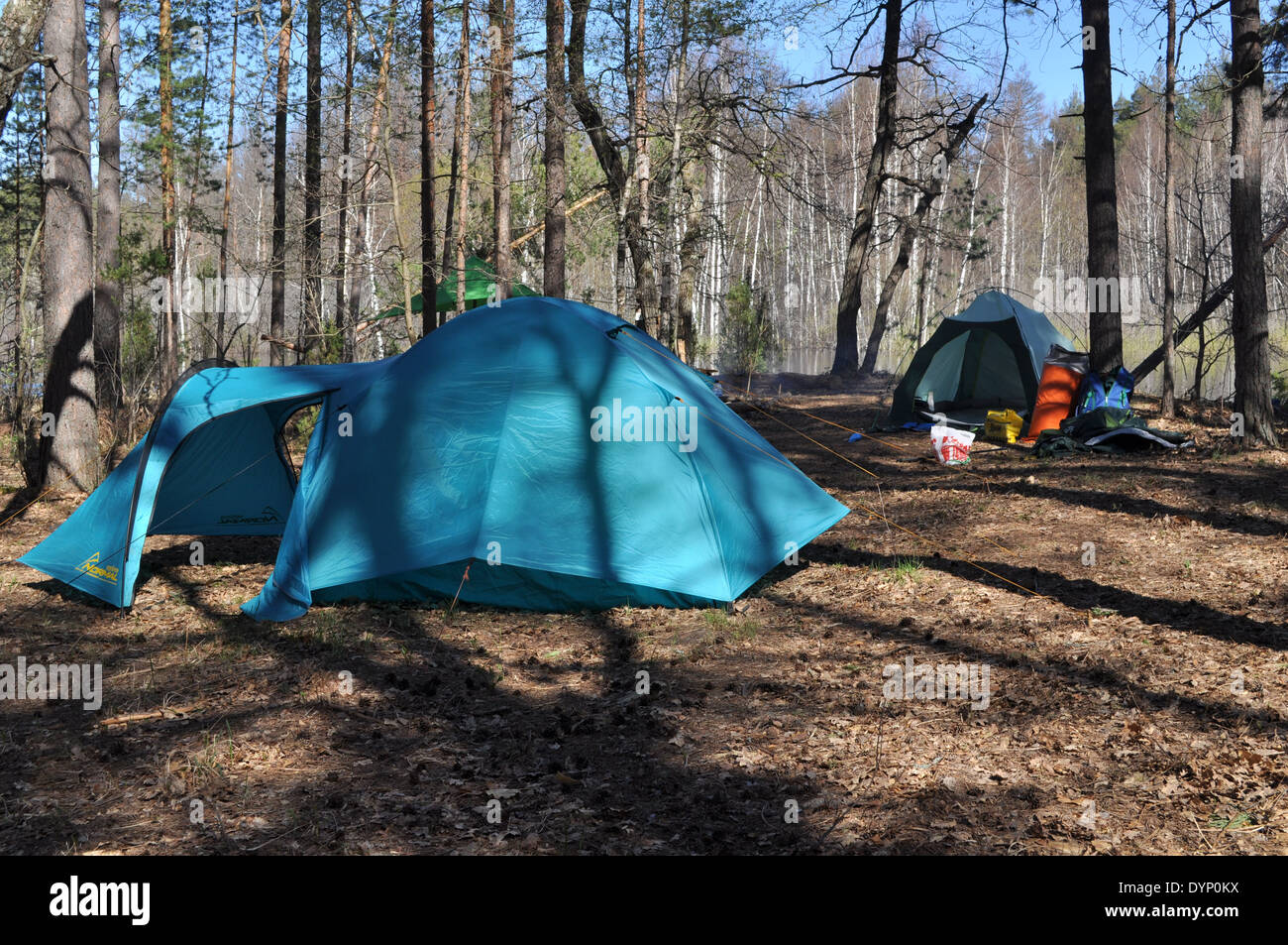 Zelt im Camp von Touristen auf der Waldwiese Frühlingswald im Nationalpark. Stockfoto