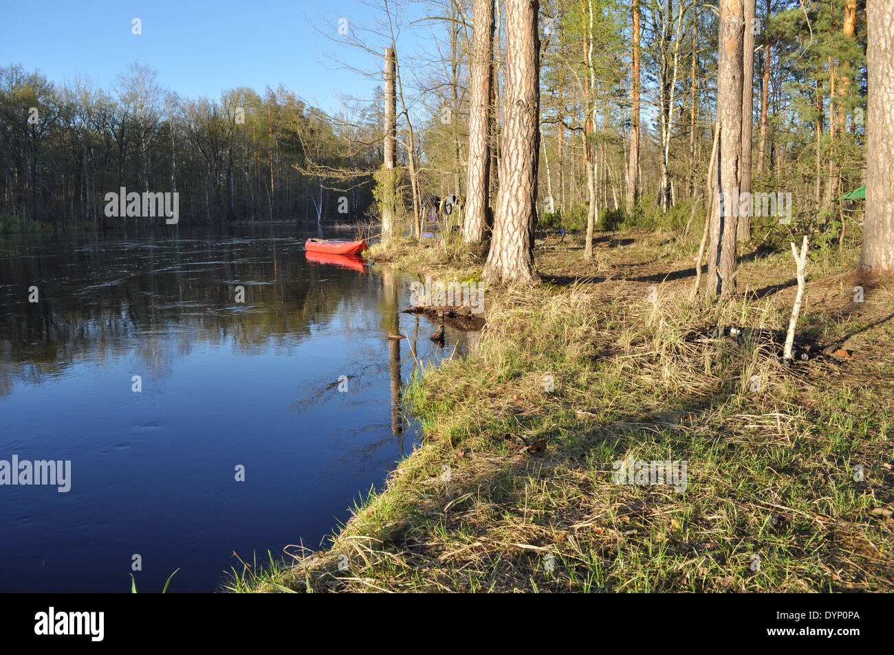 Landschaften und Details der Natur im Wald am Fluss Bank Anfang Mai. Russland, der Nationalpark "Meschtscherski. Stockfoto