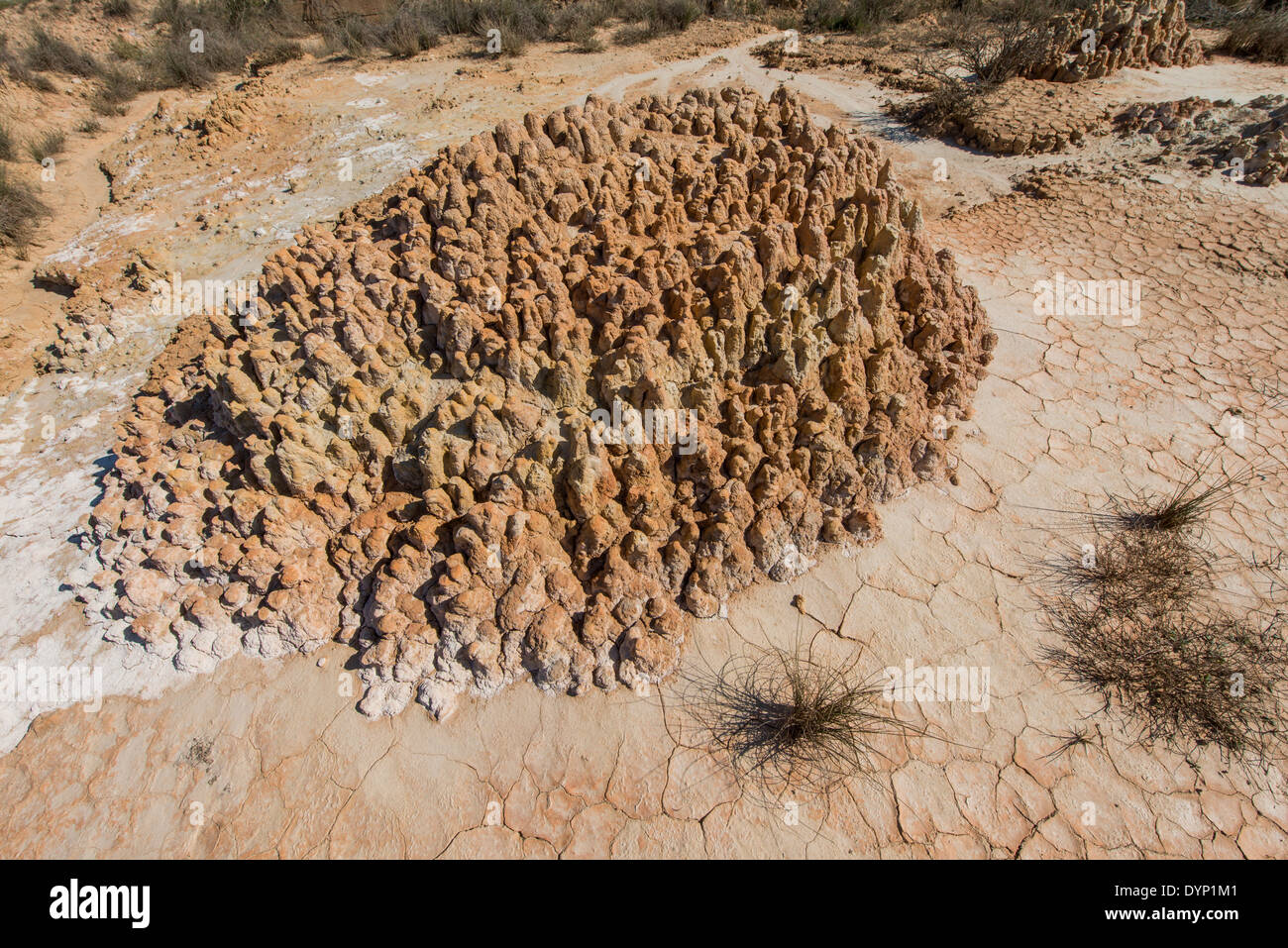 Charakteristische Erosion Muster durch Niederschläge auf Ton-basierten Boden bilden Zinnen in die Monegros Naturgebiet, Aragón, Spanien Stockfoto