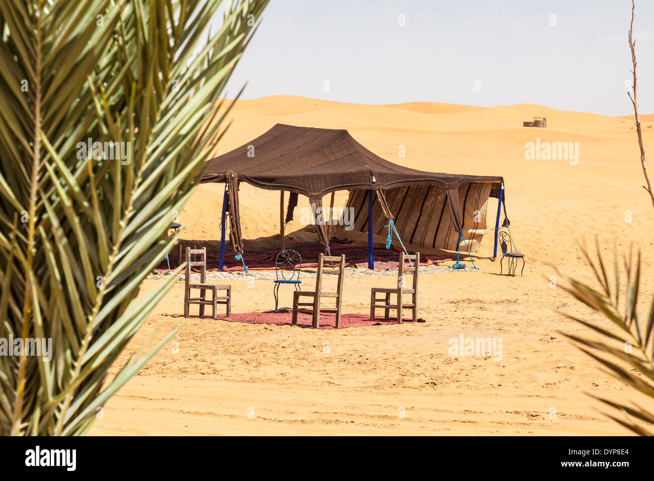 Open Side Zelt und Stühle mit Palmen im Vordergrund unter den Sanddünen am Erg Chebbi Wüste Sahara, Marokko, Nordafrika Stockfoto