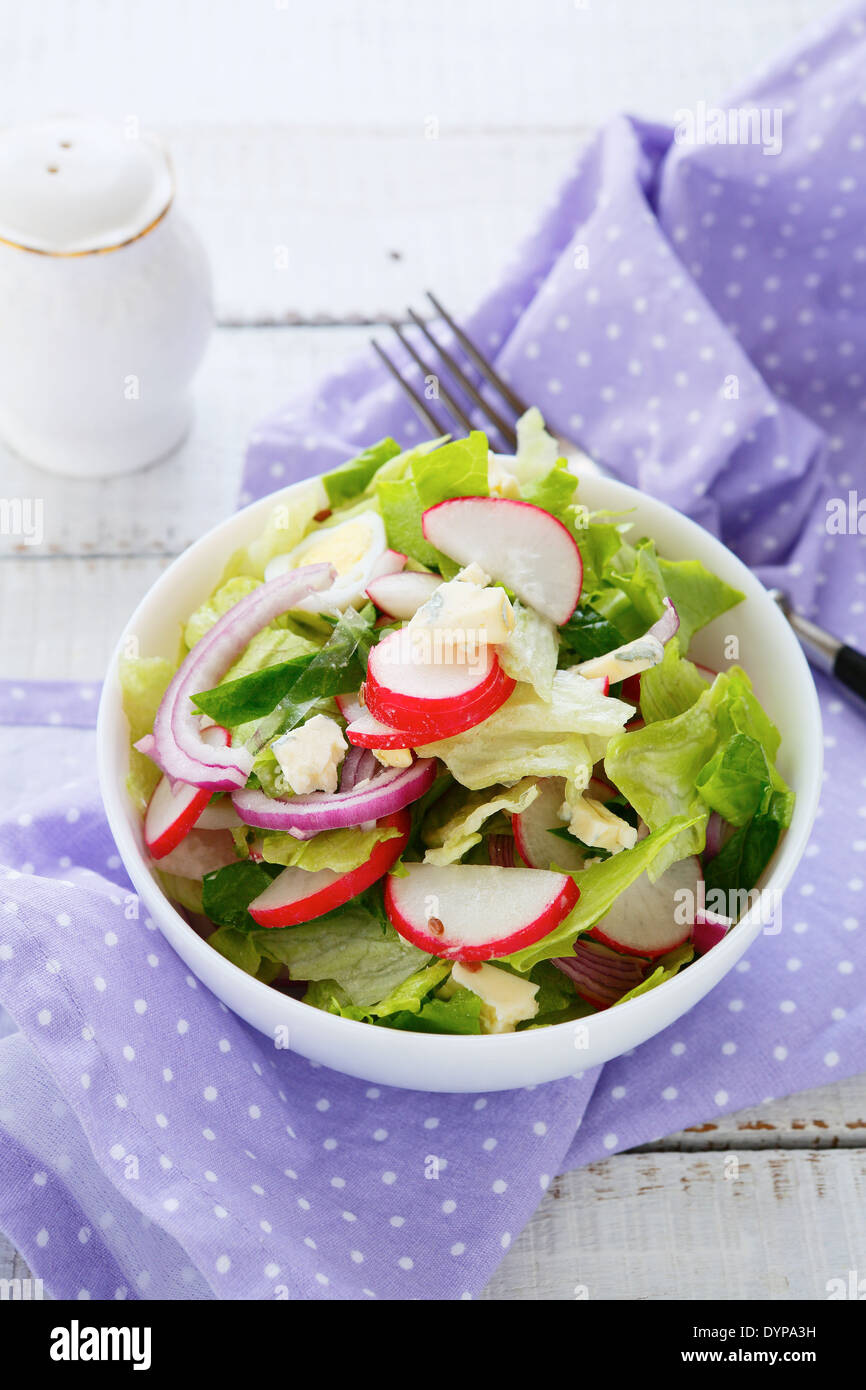 Frühlingssalat mit Radieschen, Essen Nahaufnahme Stockfoto