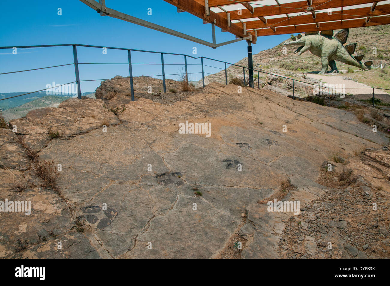 Titel der Fußabdrücke von Dinosauriern (oder ichnites) in einem flachen Felsen, früher das Ende einer inländischen Lagune am Munilla Fossil Site, La Rioja, Spanien. Stockfoto