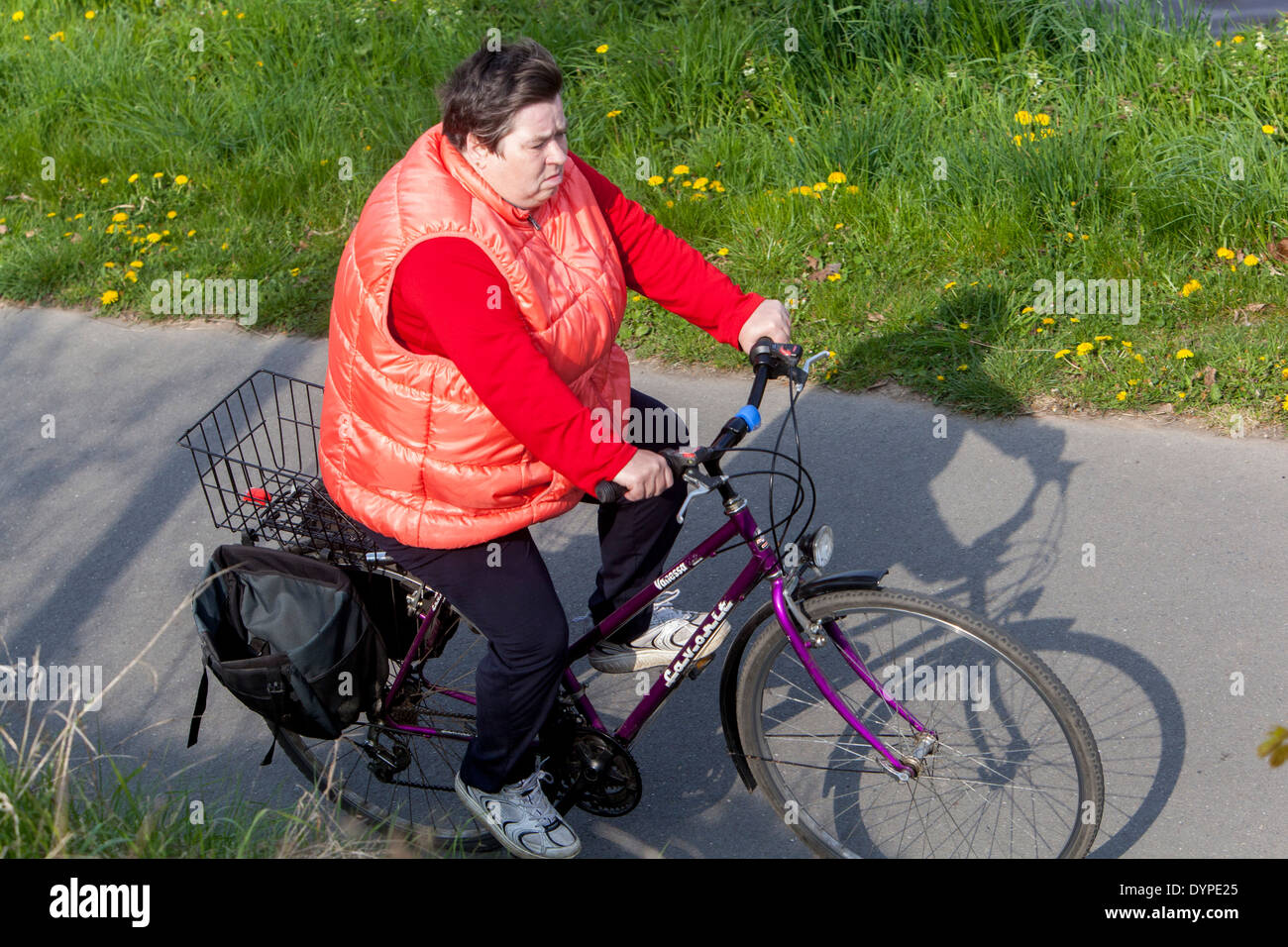 Ältere Frau fahren mit dem Fahrrad auf Radweg, Fahrradverleih Stockfoto