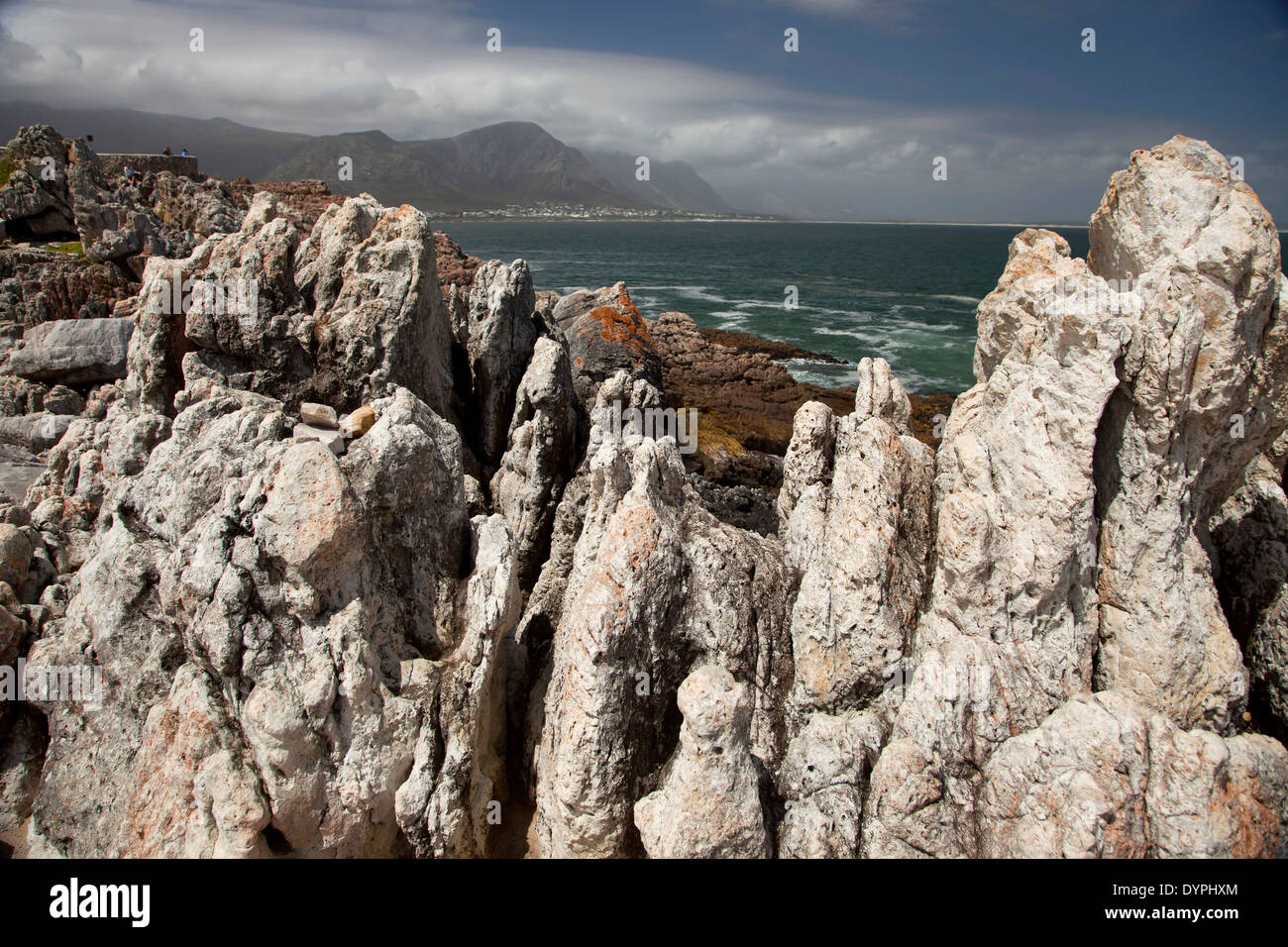 die felsige Küste in Hermanus, Western Cape, Südafrika Stockfoto