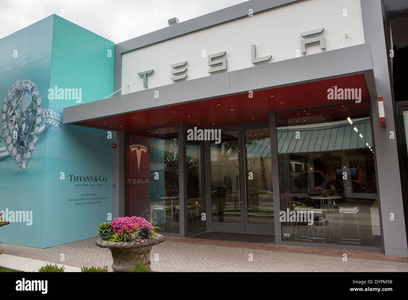 Tesla Motors Showroom in Oakbrook, einem Vorort von Chicago, Illinois USA Stockfoto