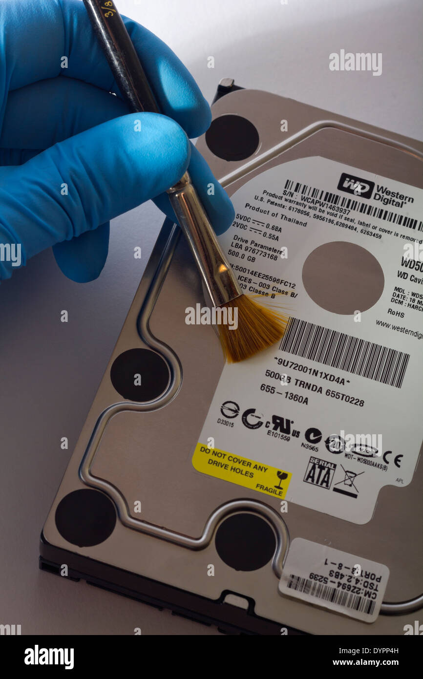 Festplatte des Computers mit Pinsel zur Hand. Abstauben für Drucke; Computer forensische Beweise. Stockfoto