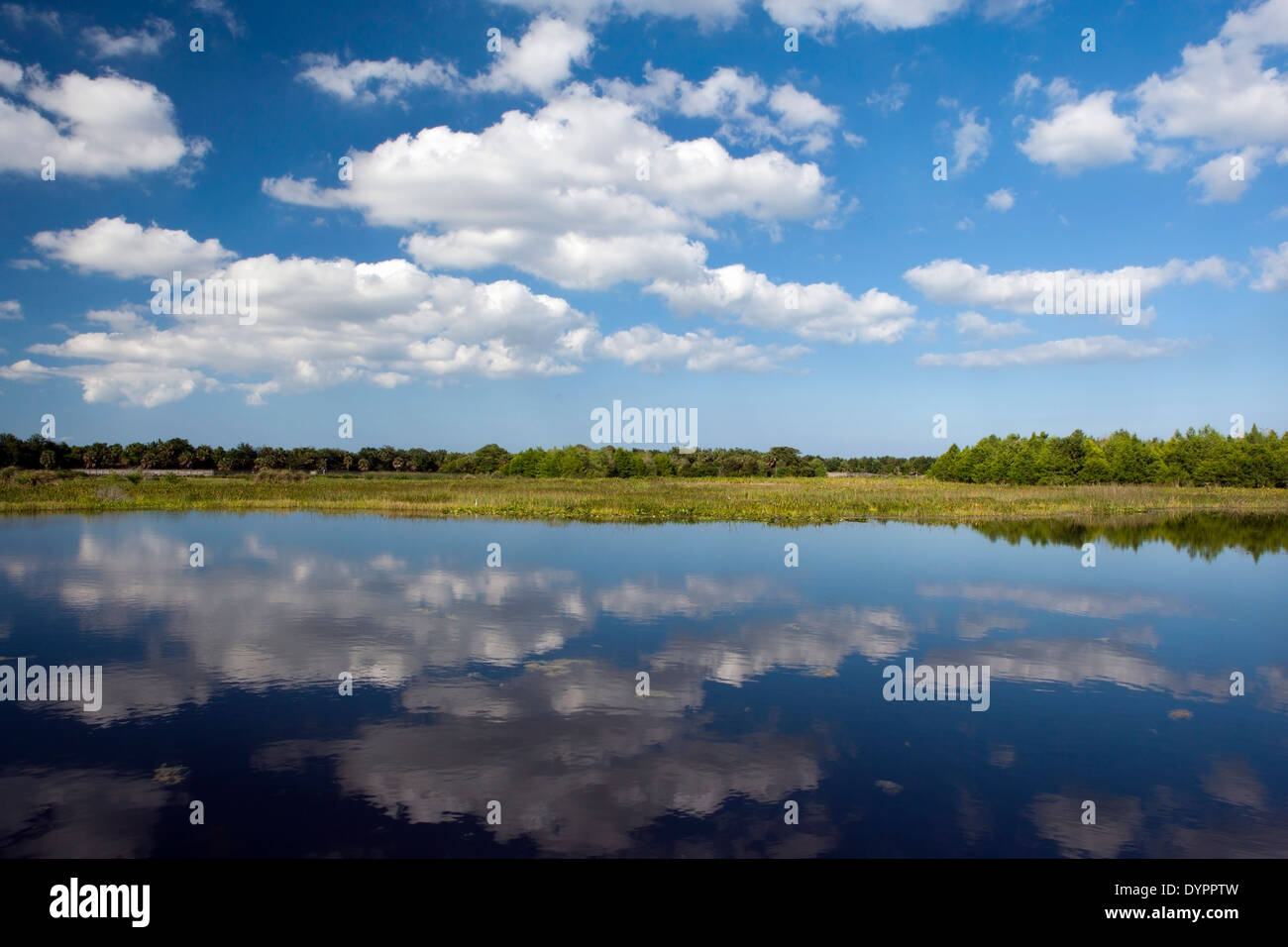 Cloud-Reflexionen an Green Cay Feuchtgebiete - Boynton Beach, Florida USA Stockfoto