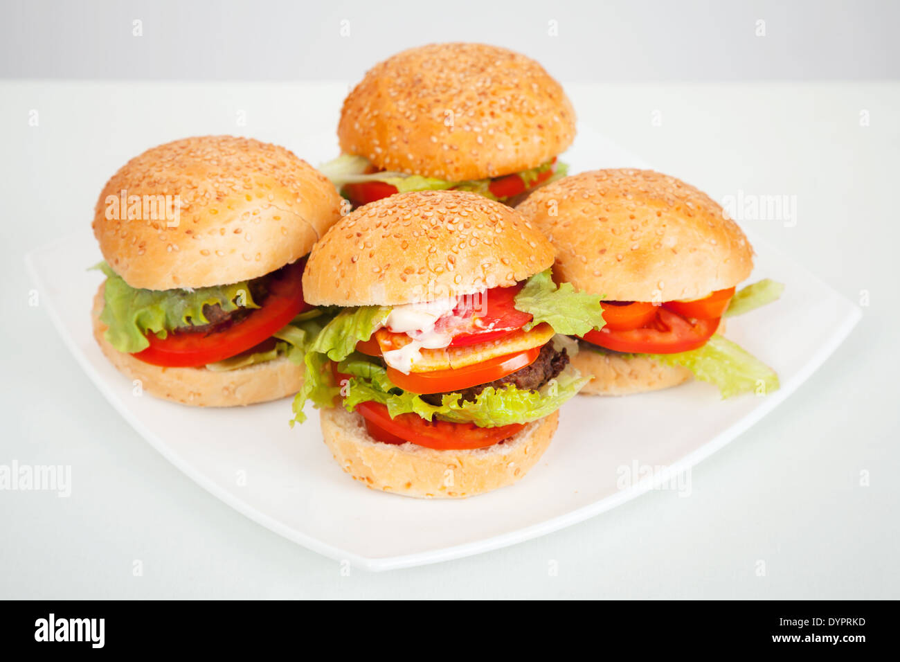 Große hausgemachte Hamburger in weißen Schale legen. Studio Foto Stockfoto