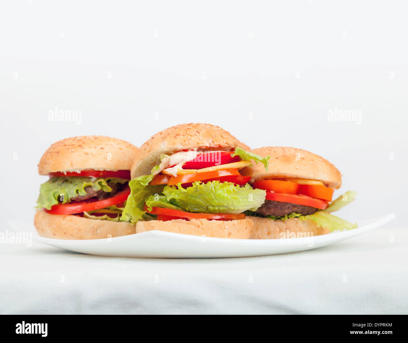 Große hausgemachte Hamburger in weißen Schale legen. Closeup Studio Foto Stockfoto