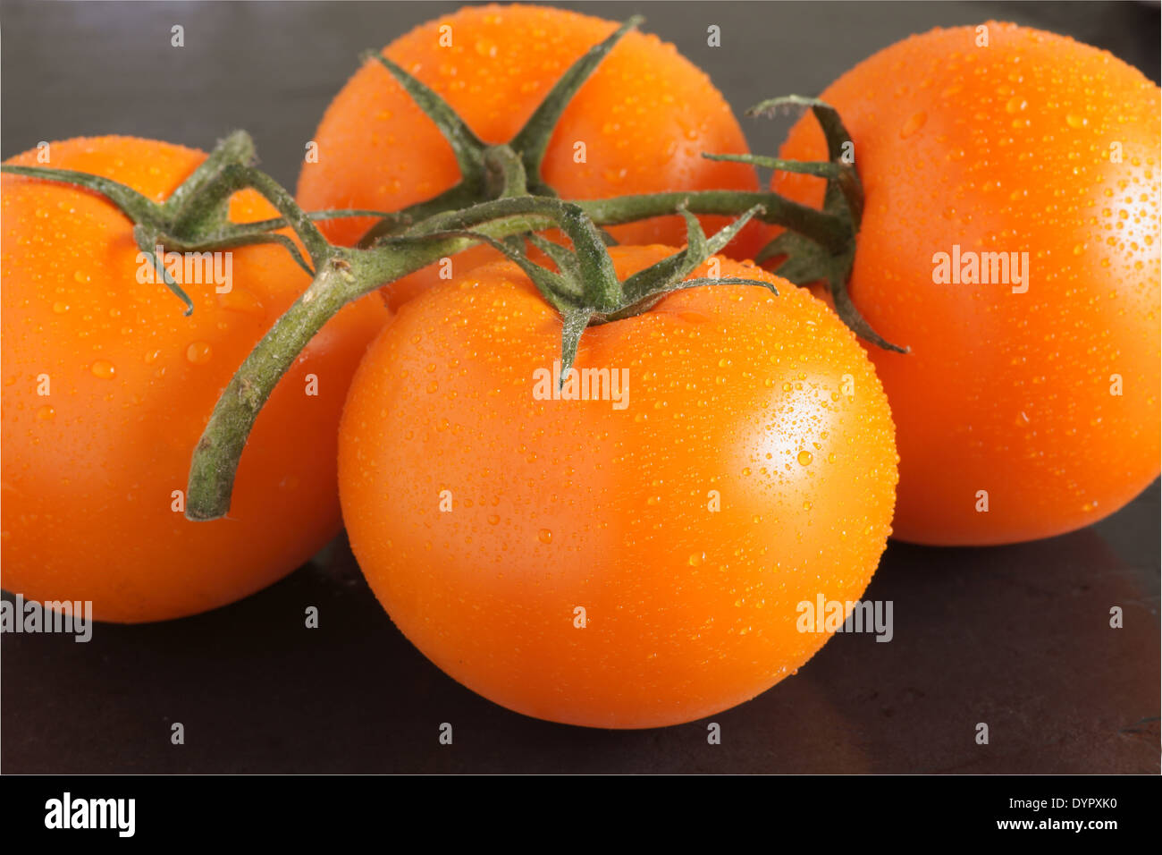 Erbstück orange Vielzahl strauchtomaten in Farbe anstatt der üblichen rot orange. Auch bekannt als gold Tomaten. Stockfoto