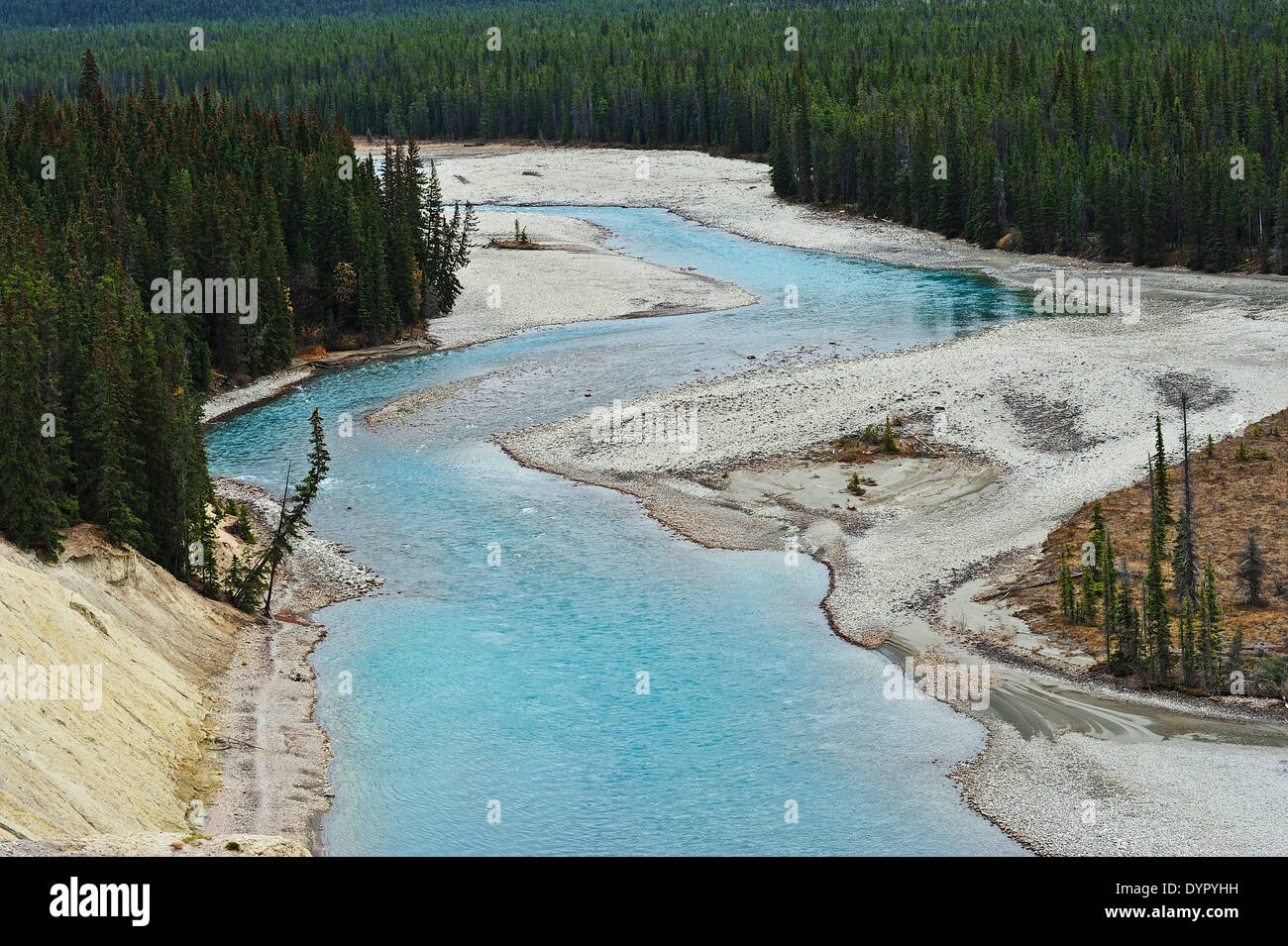 Ein Landschaftsbild des Athabasca River als es schlängelt sich vorbei an mineralischen lecken in Jasper Nationalpark Alberta Kanada Stockfoto
