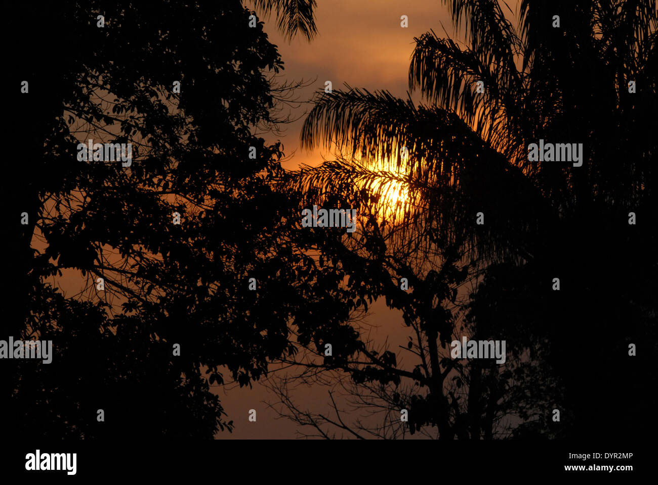 Sonnenuntergang über dem Fluss Amazonas, Manaus, Brasilien. Stockfoto