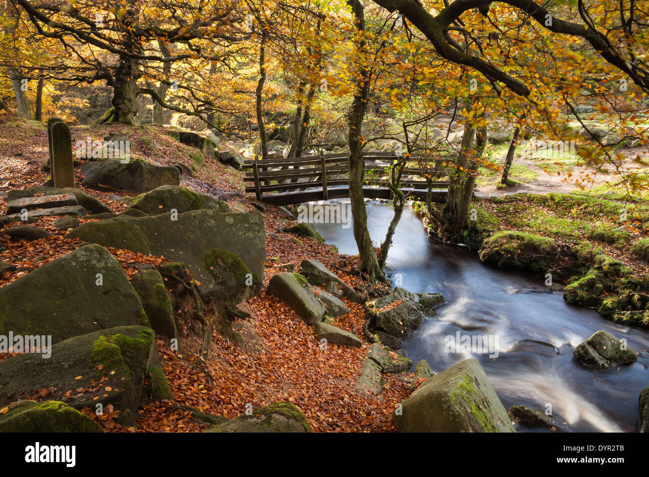 Holzsteg kreuzt die schnell fließenden Gewässern von Burbage Bach unter den Farben des Herbstes, Yarncliff Holz, padley Schlucht, Peak District, England Stockfoto
