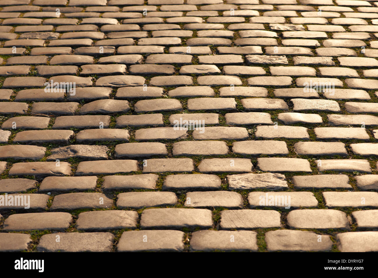 Gepflasterte Straße Stockfoto