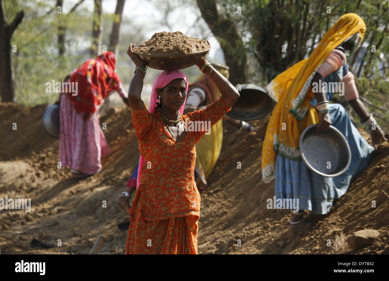 Frauen transportieren Schlamm um eine Barriere gegen Tier an Land der Rasjasthan Provinz zu bauen Stockfoto
