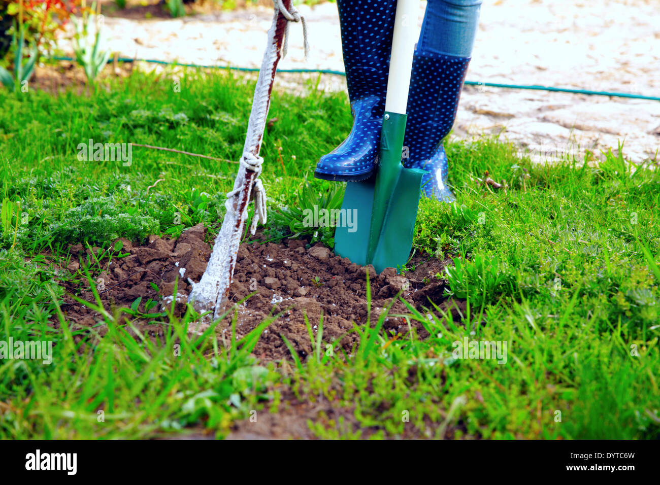 Frau trägt blaue Gummistiefel mit Schaufel in ihrem Garten ...