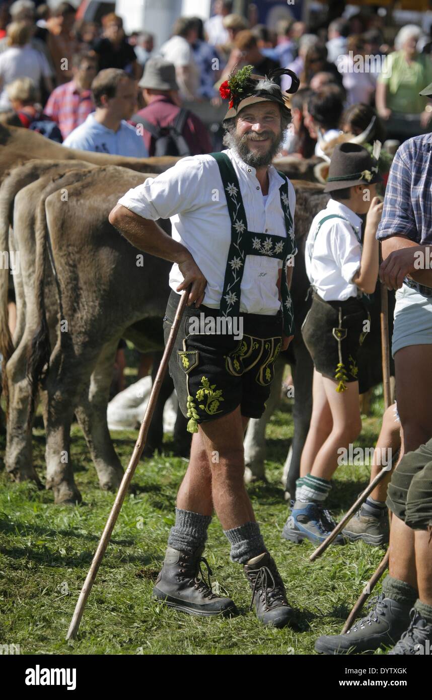 Der Viehscheid (Rückkehr der Kühe aus ihren Sommerweiden) Stockfoto