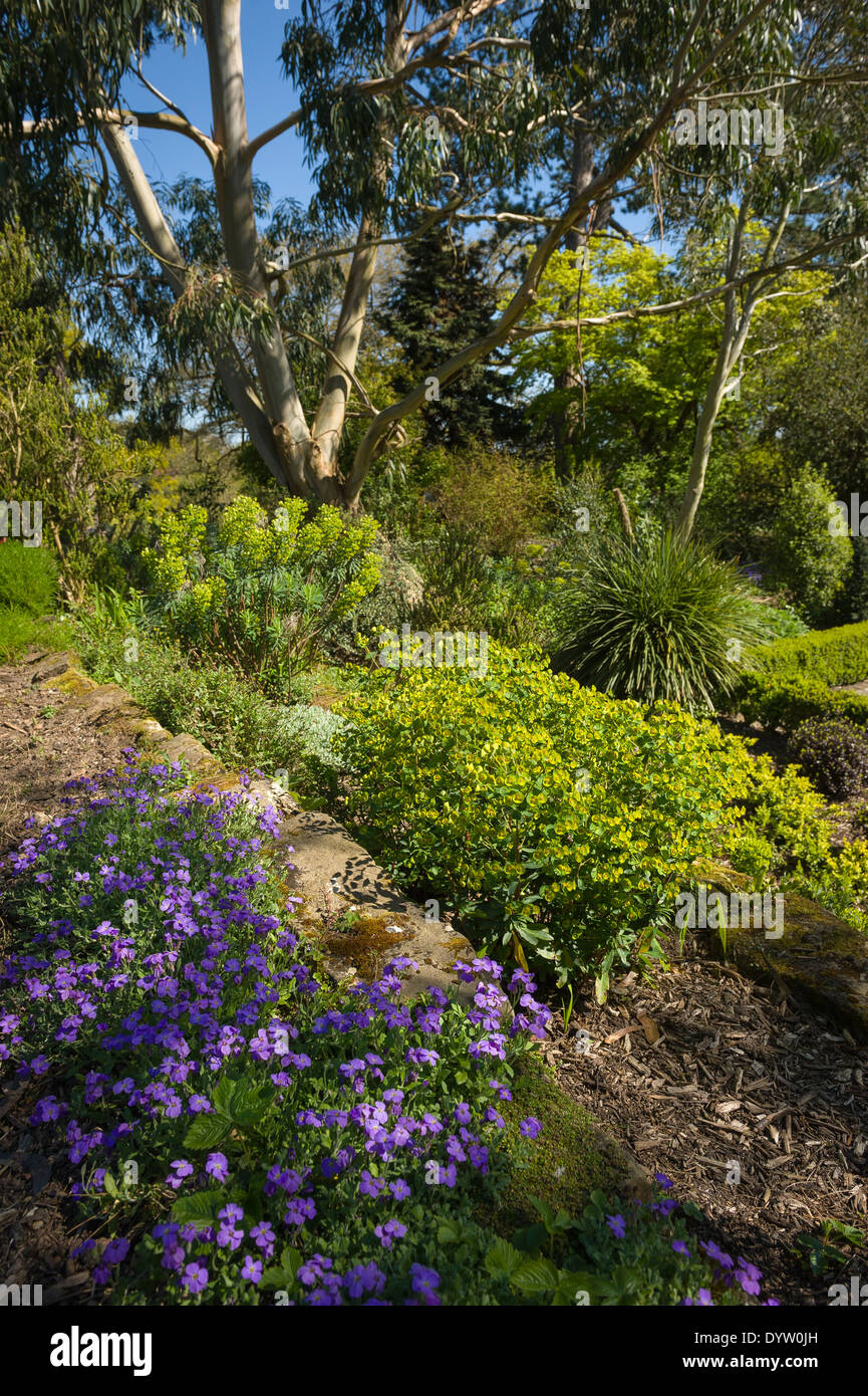 Blumenbeete im italienischen Garten bei Borde Hill in der Nähe von Haywards Heath, West Sussex, UK Stockfoto