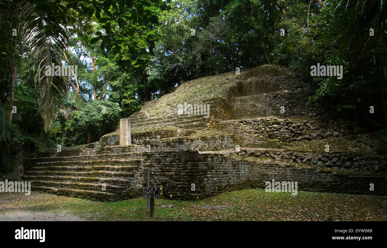 Stela 9 Tempel, Lamanai, Belize Stockfoto