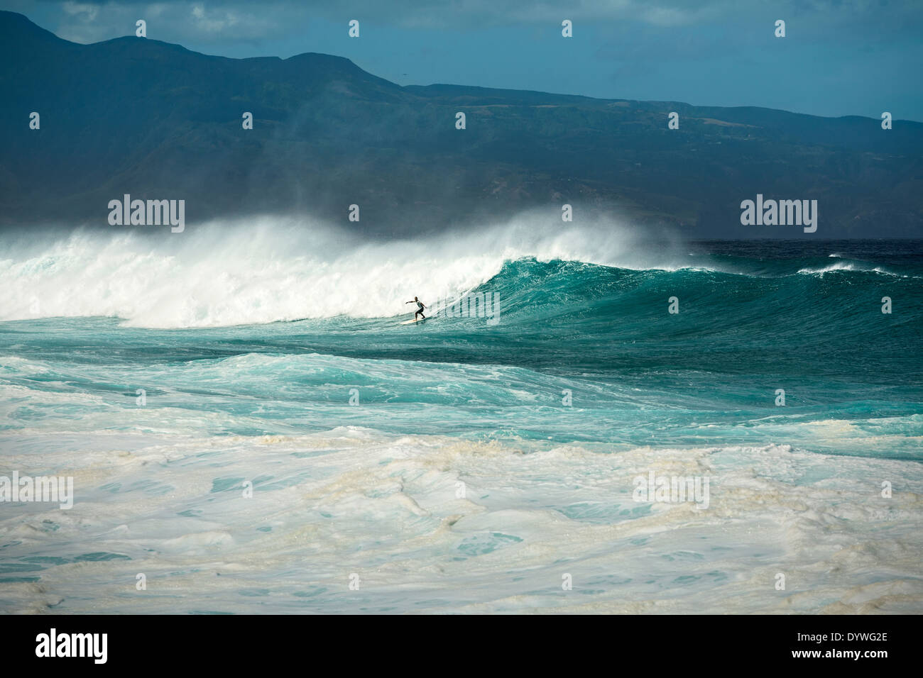 Surfer am berühmten Hookipa Beach in der Nordküste von Maui. Stockfoto