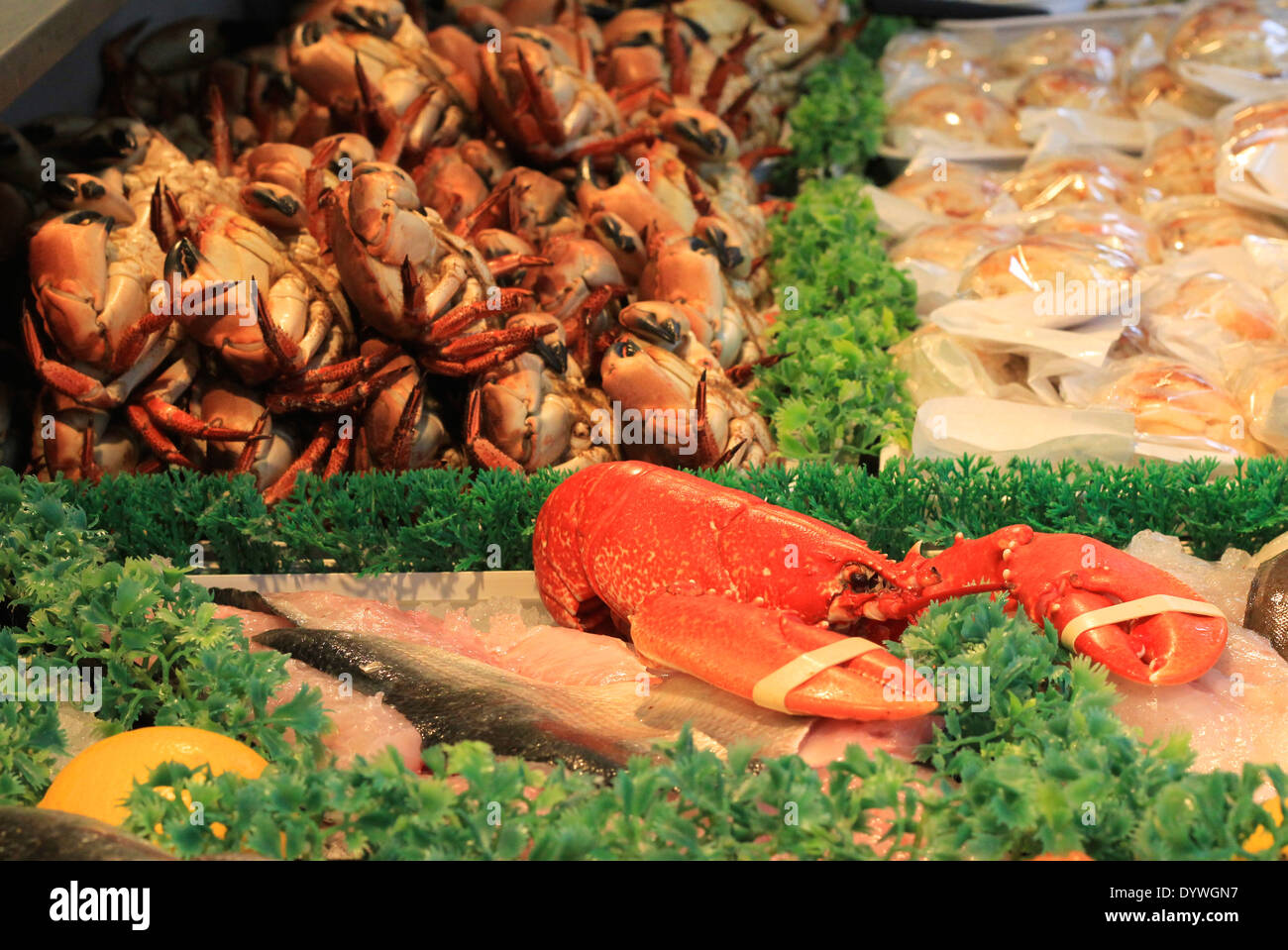 Ein Meer Essen Zähler zur Darstellung von Hummer und essbare braunen Krabben Stockfoto