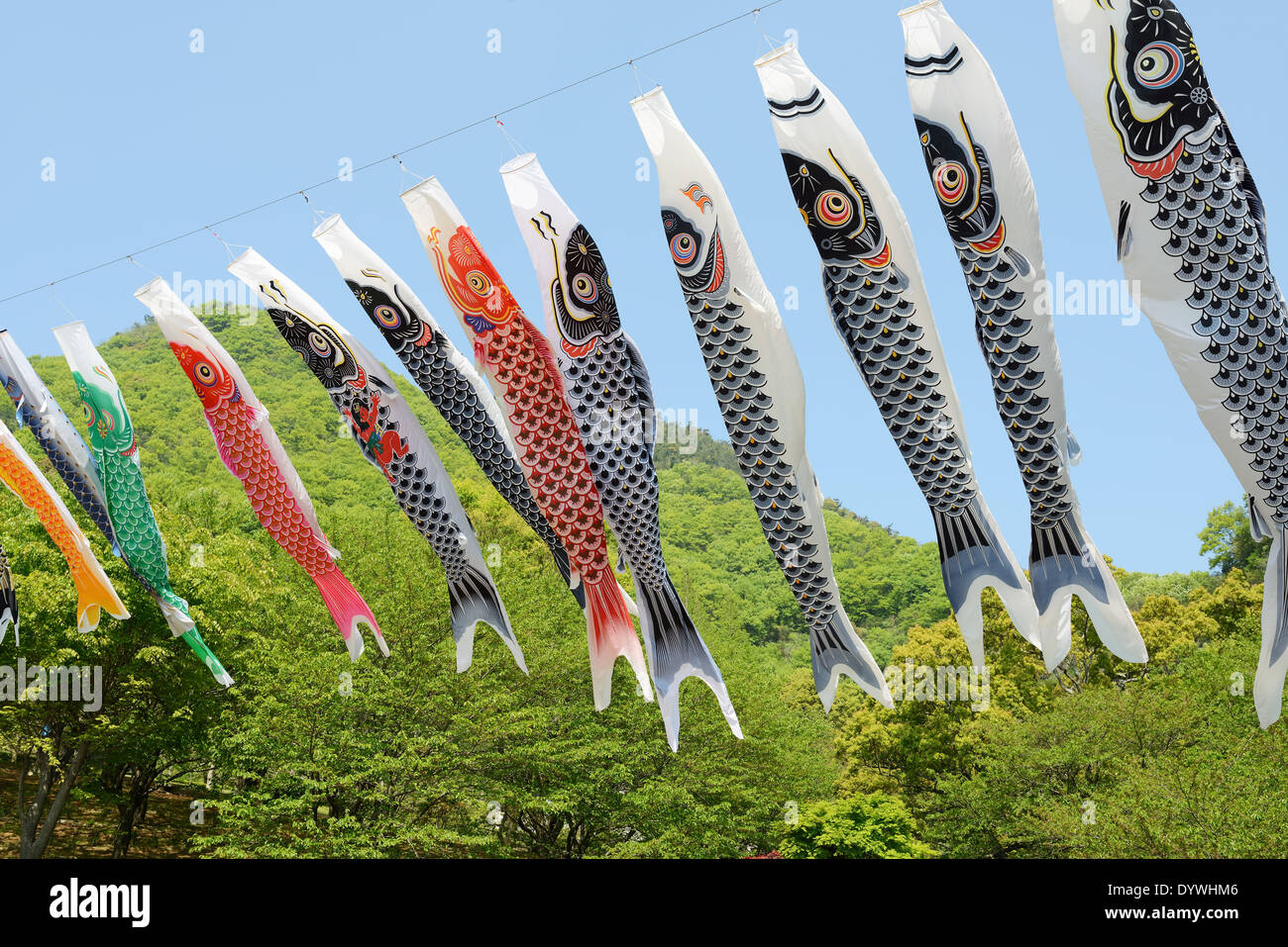 Japanischen Karpfen Streamer Dekoration gegen blauen Himmel Stockfoto