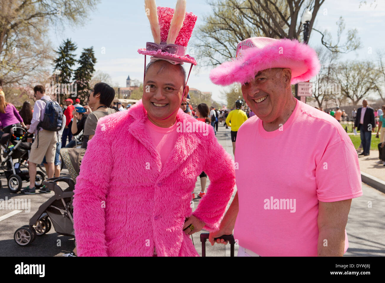 Männer in Rosa an der National Cherry Blossom Festival - Washington, DC USA Stockfoto