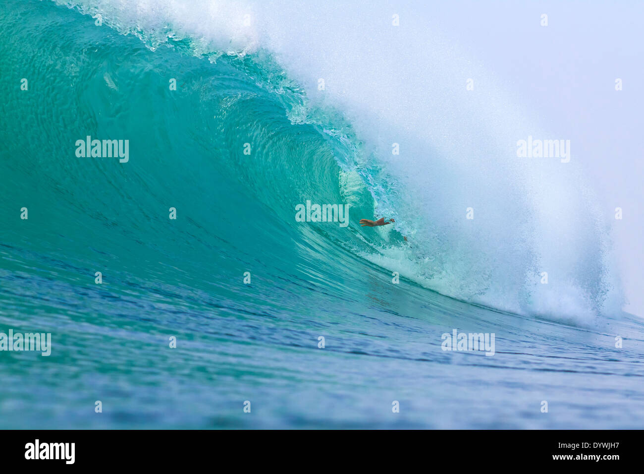 eine Welle surfen Stockfoto