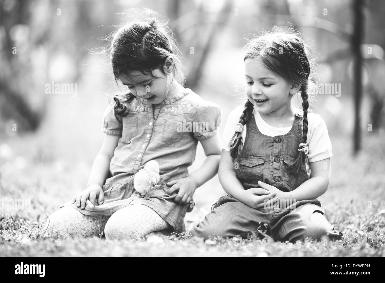 Zwei kleine Mädchen mit Hühnern Stockfoto