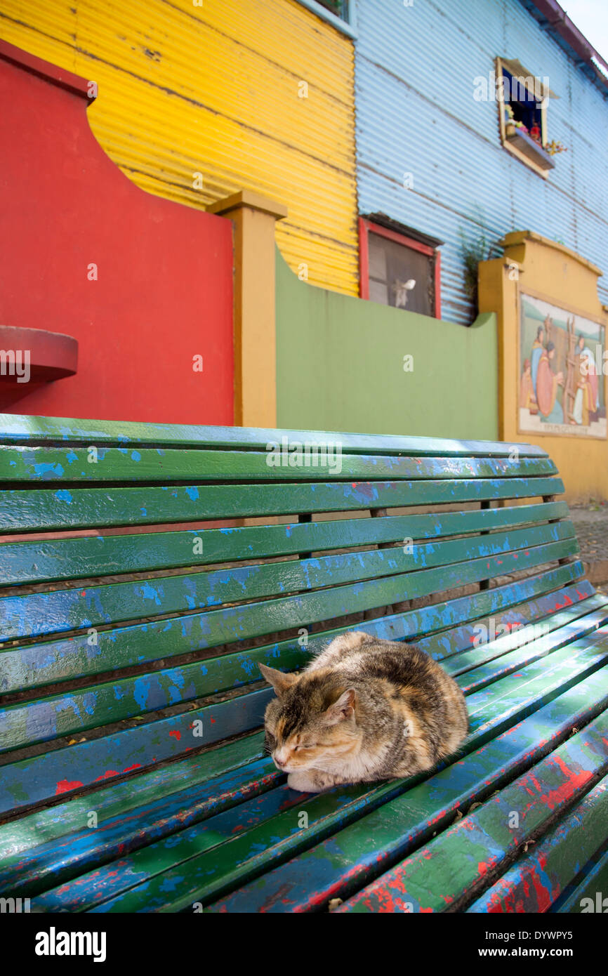 Katze auf einer Bank ausruhen. Caminito Straße. La Boca-Viertel. Buenos Aires. Argentinien Stockfoto