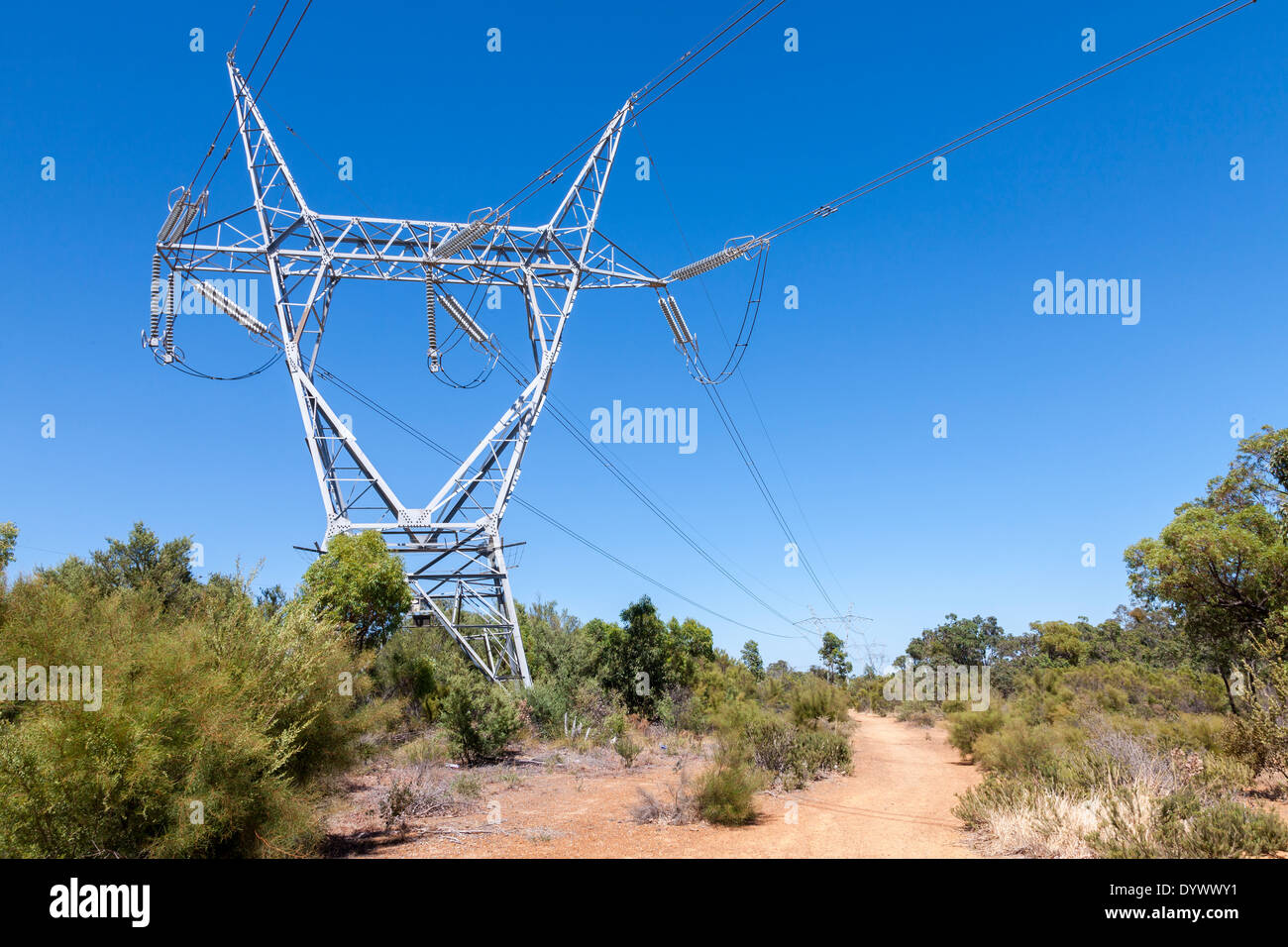 Elektrische Pylon vor blauem Himmel, Forrest Felder, Western Australia Stockfoto