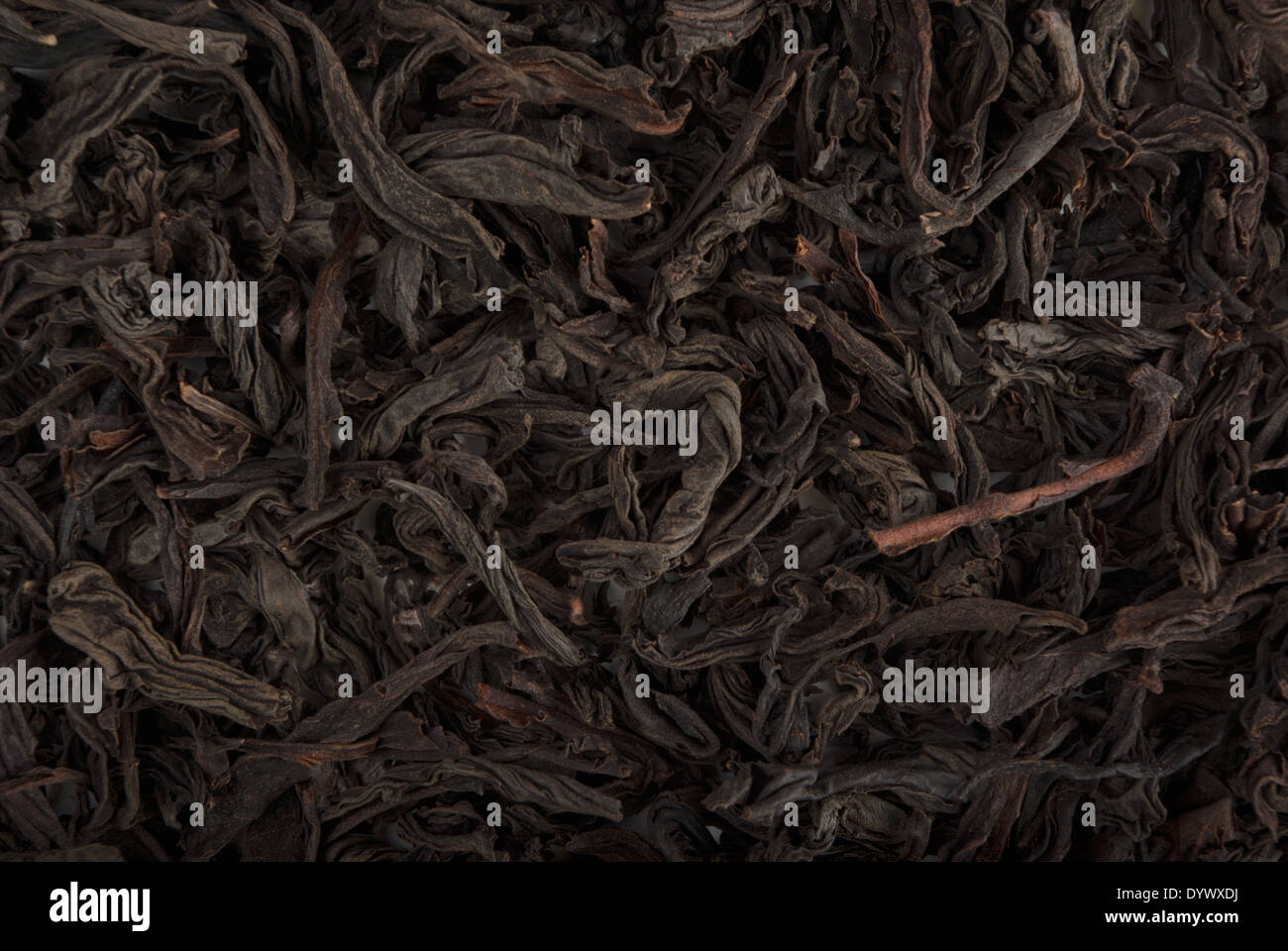 Schwarzer Tee Blätter Hintergrundtextur Stockfoto