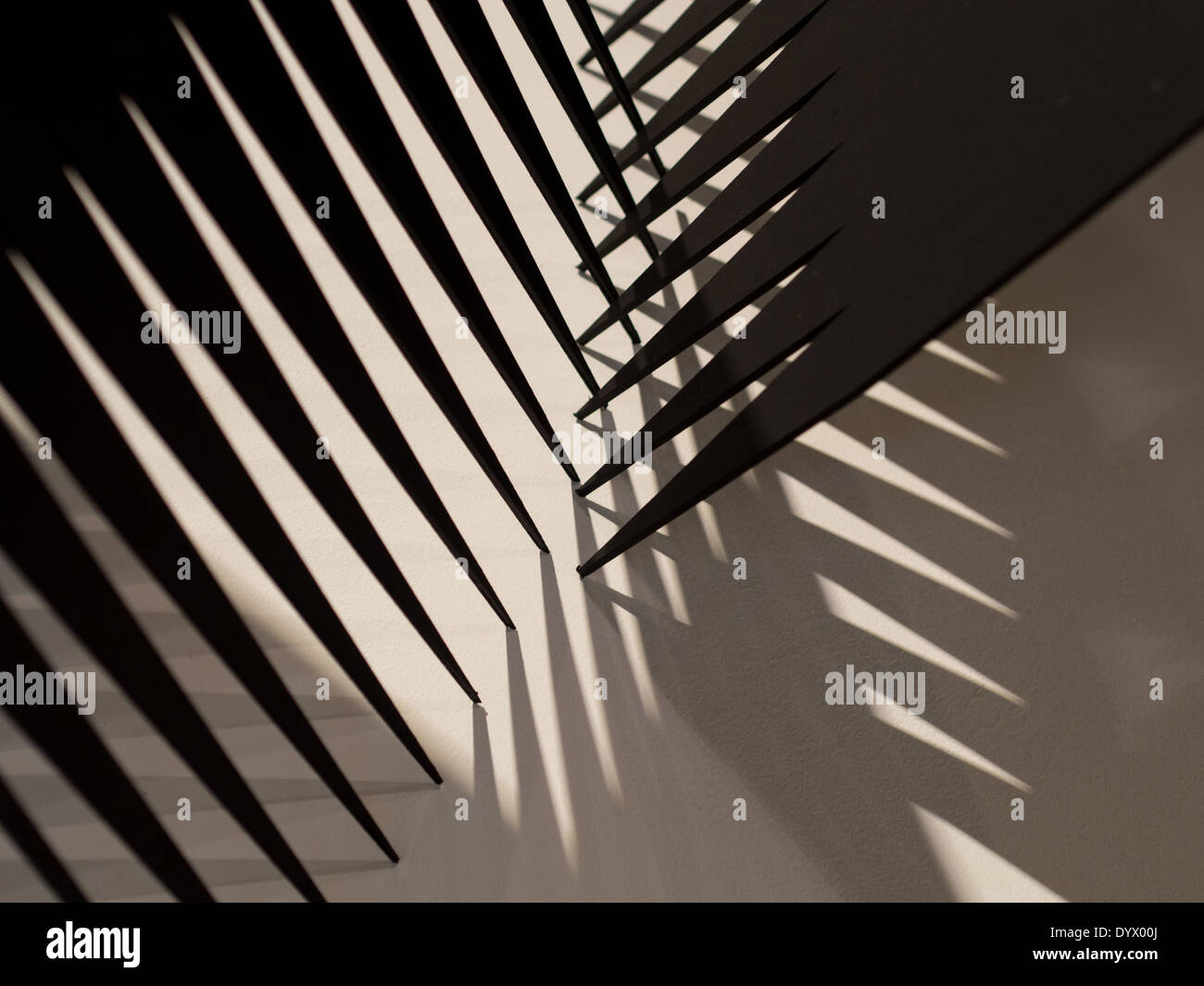 Künstlerischen Schatten in schwarz / weiß Stockfoto