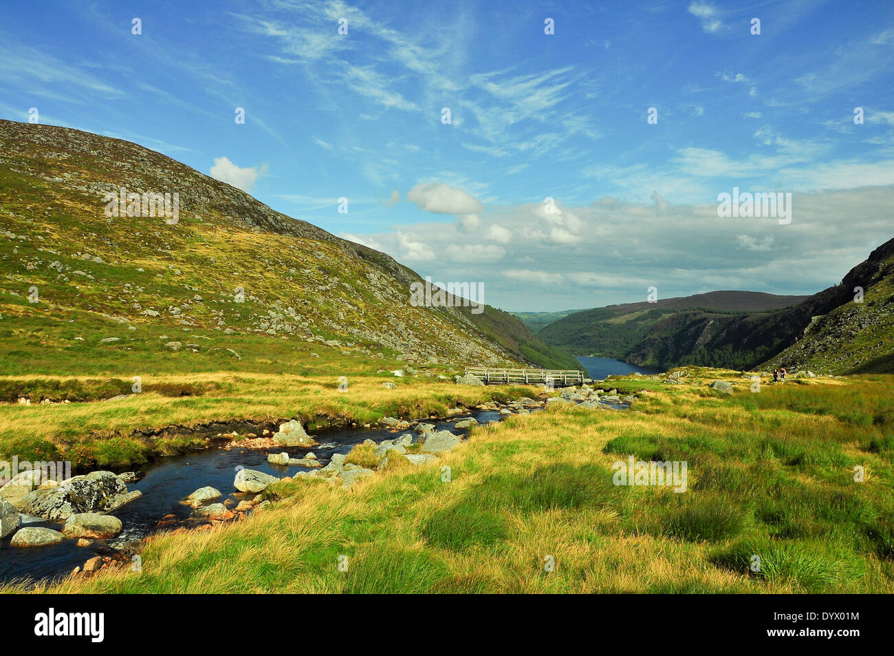 Bergbach im County Wicklow, Irland Stockfoto
