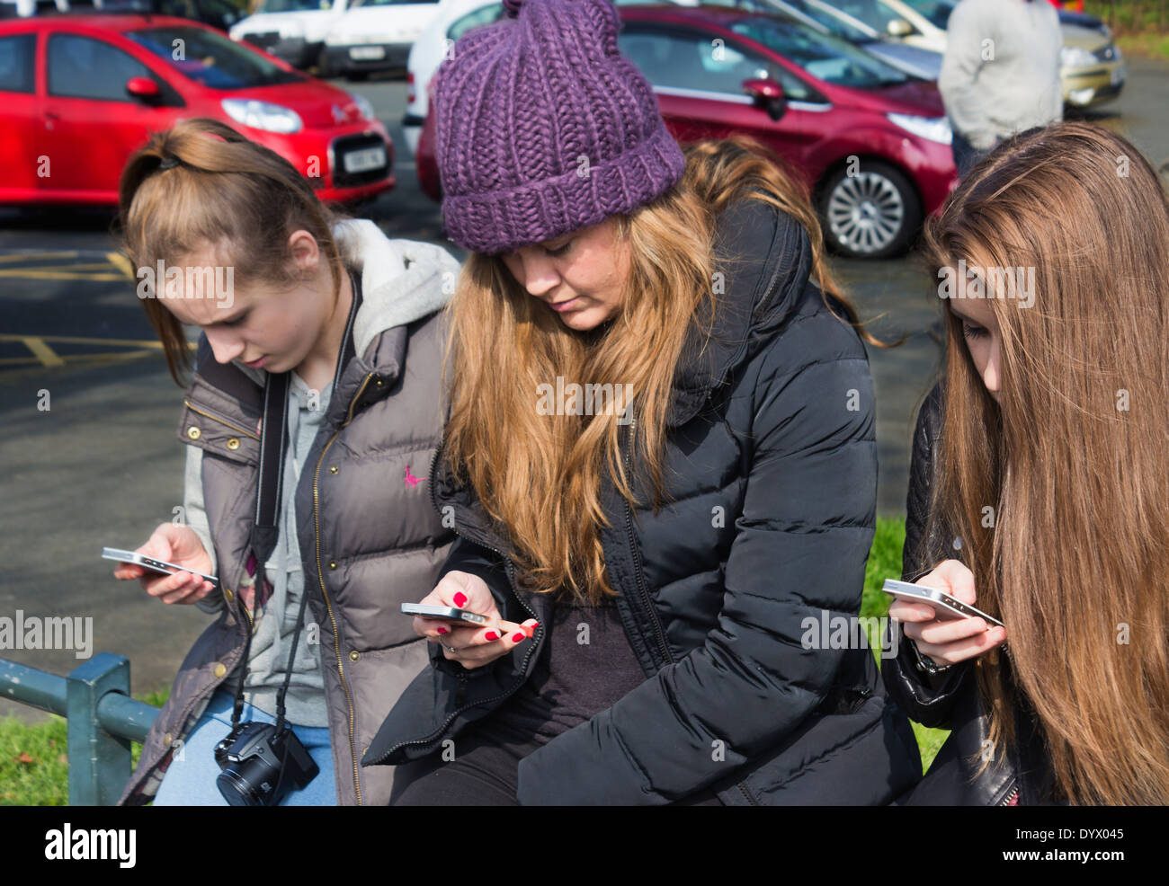 Drei Mädchen auf der Suche bei Mobiltelefonen. Stockfoto