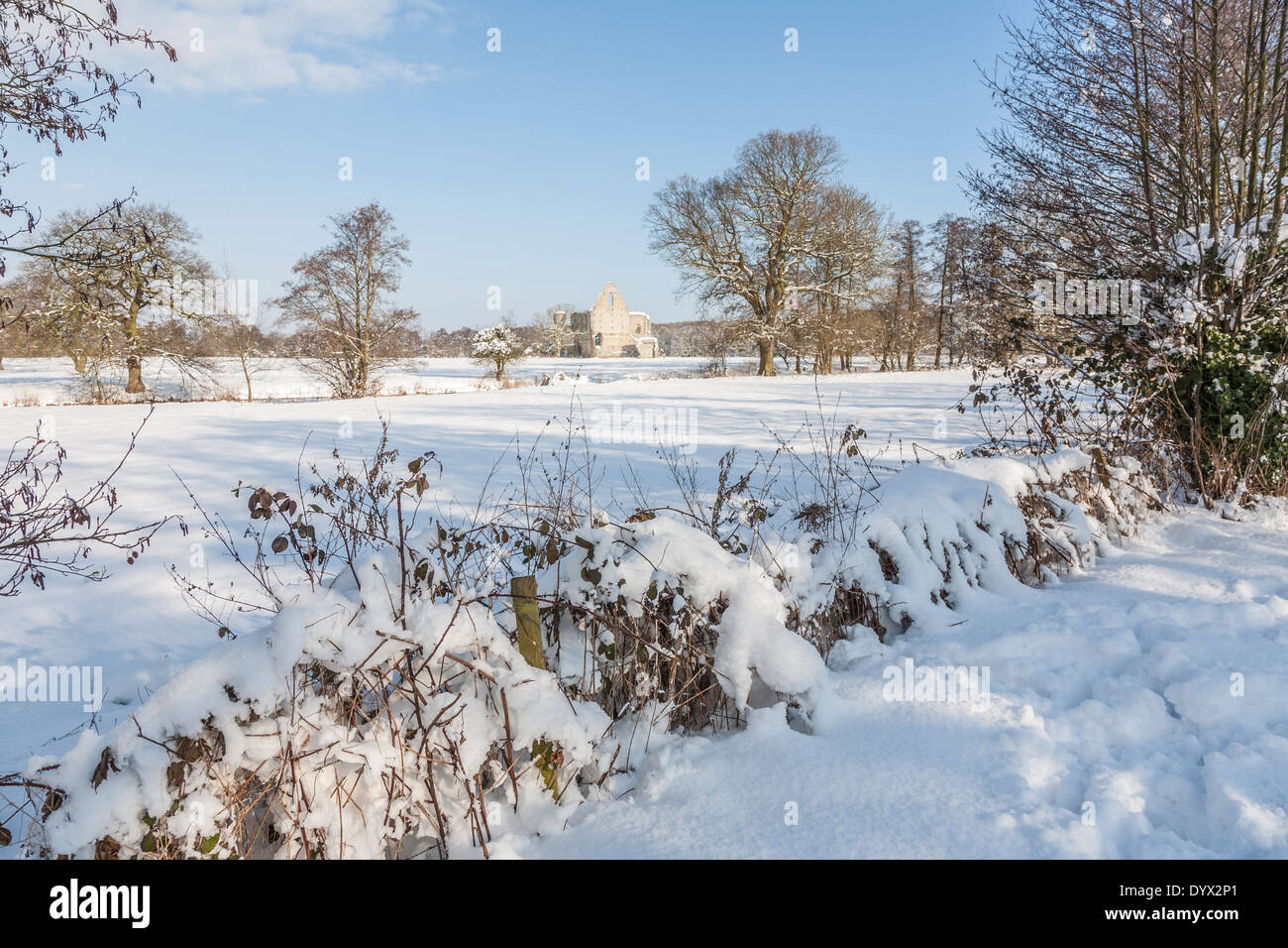 Hecken und Feldern im Schnee, in der Nähe von Pyrford, Surrey, UK, mit Ruinen der Newark Priory im Hintergrund Stockfoto
