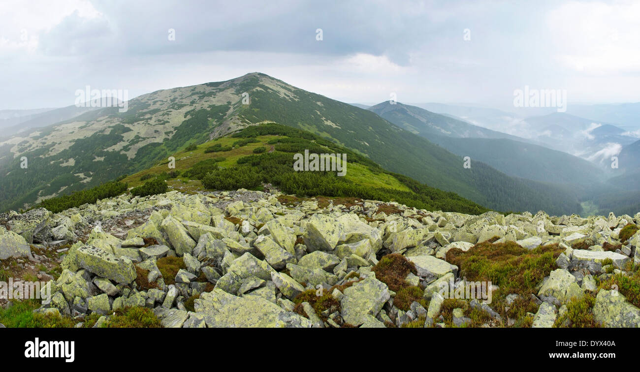 Berglandschaft in Karpaten Stockfoto