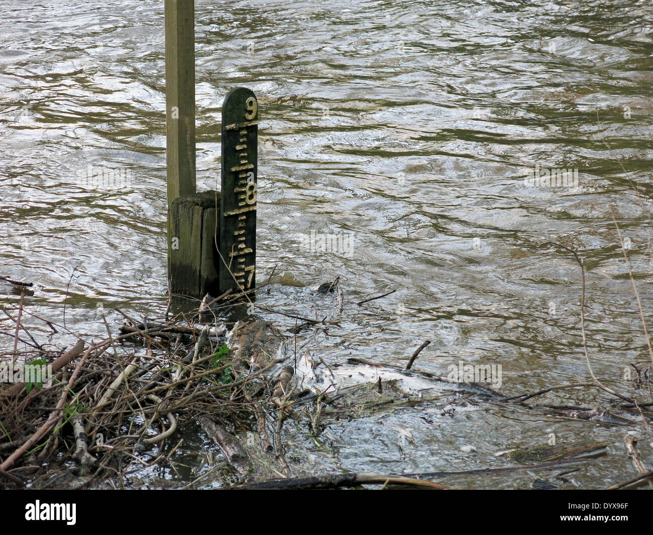 Eashing, Surrey. 26. April 2014. Der Fluss Wey die Ufer am Eashing in Surrey. Sintflutartige Regenfälle in den letzten 24 Stunden verursachte Überschwemmungen in der Grafschaft. Bildnachweis: James Jagger/Alamy Live News Stockfoto