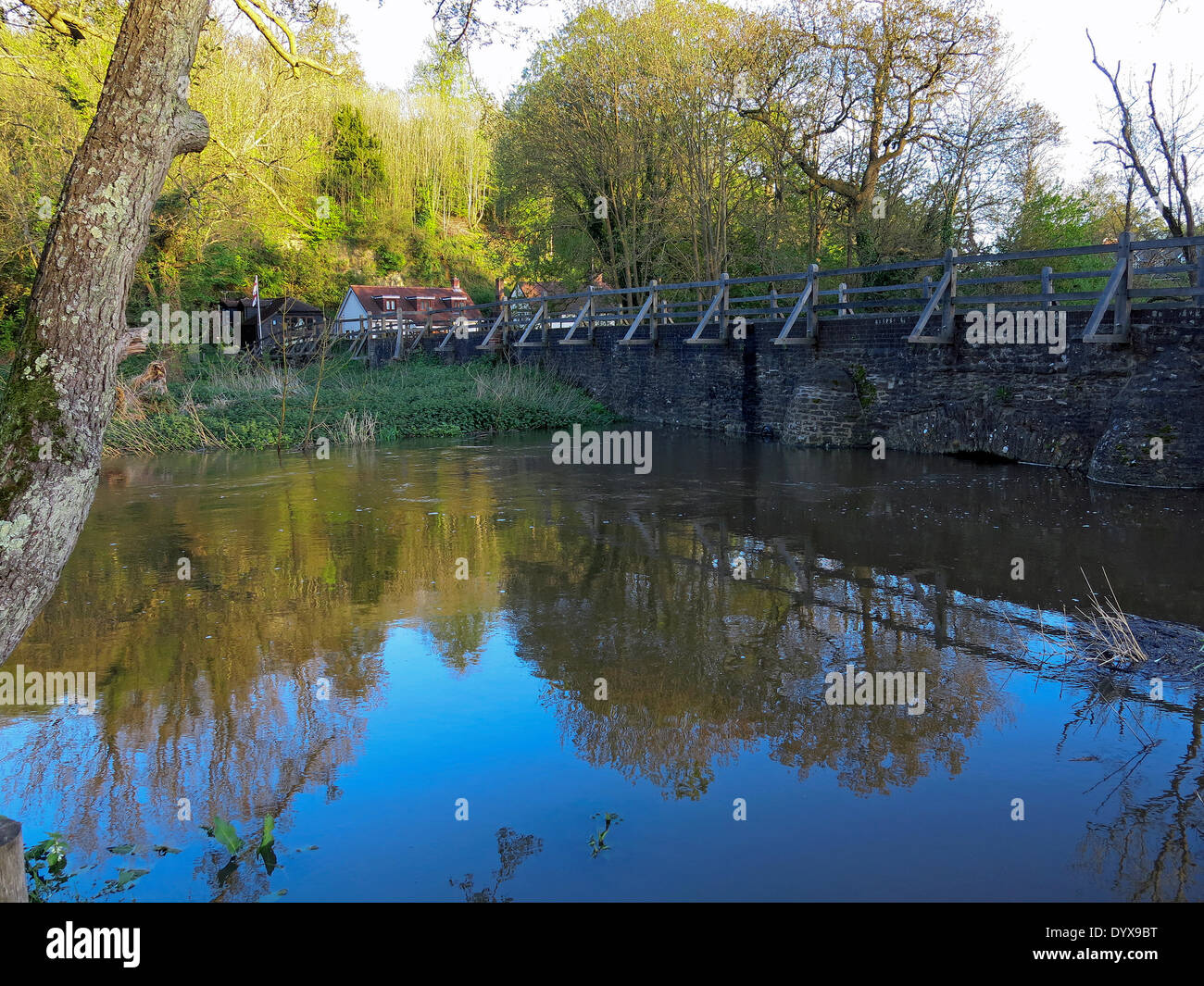 Eashing, Surrey. 26. April 2014. Der Fluss Wey die Ufer am Eashing in Surrey. Sintflutartige Regenfälle in den letzten 24 Stunden verursachte Überschwemmungen in der Grafschaft. Bildnachweis: James Jagger/Alamy Live News Stockfoto