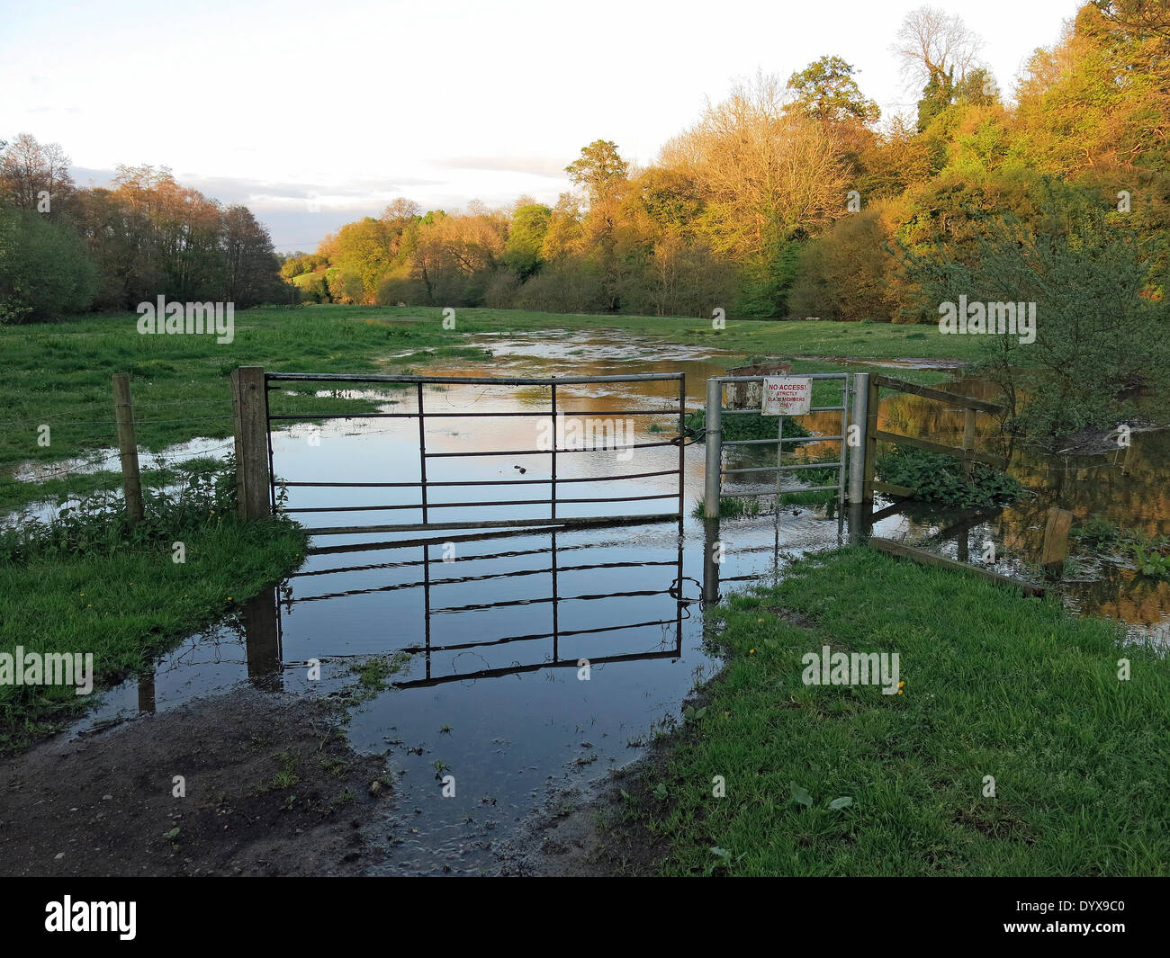 Eashing, Surrey. 26. April 2014. Der Fluss Wey die Ufer am Eashing in Surrey. Sintflutartige Regenfälle in den letzten 24 Stunden verursachte Überschwemmungen in der Grafschaft. Bildnachweis: James Jagger/Alamy Live News Stockfoto