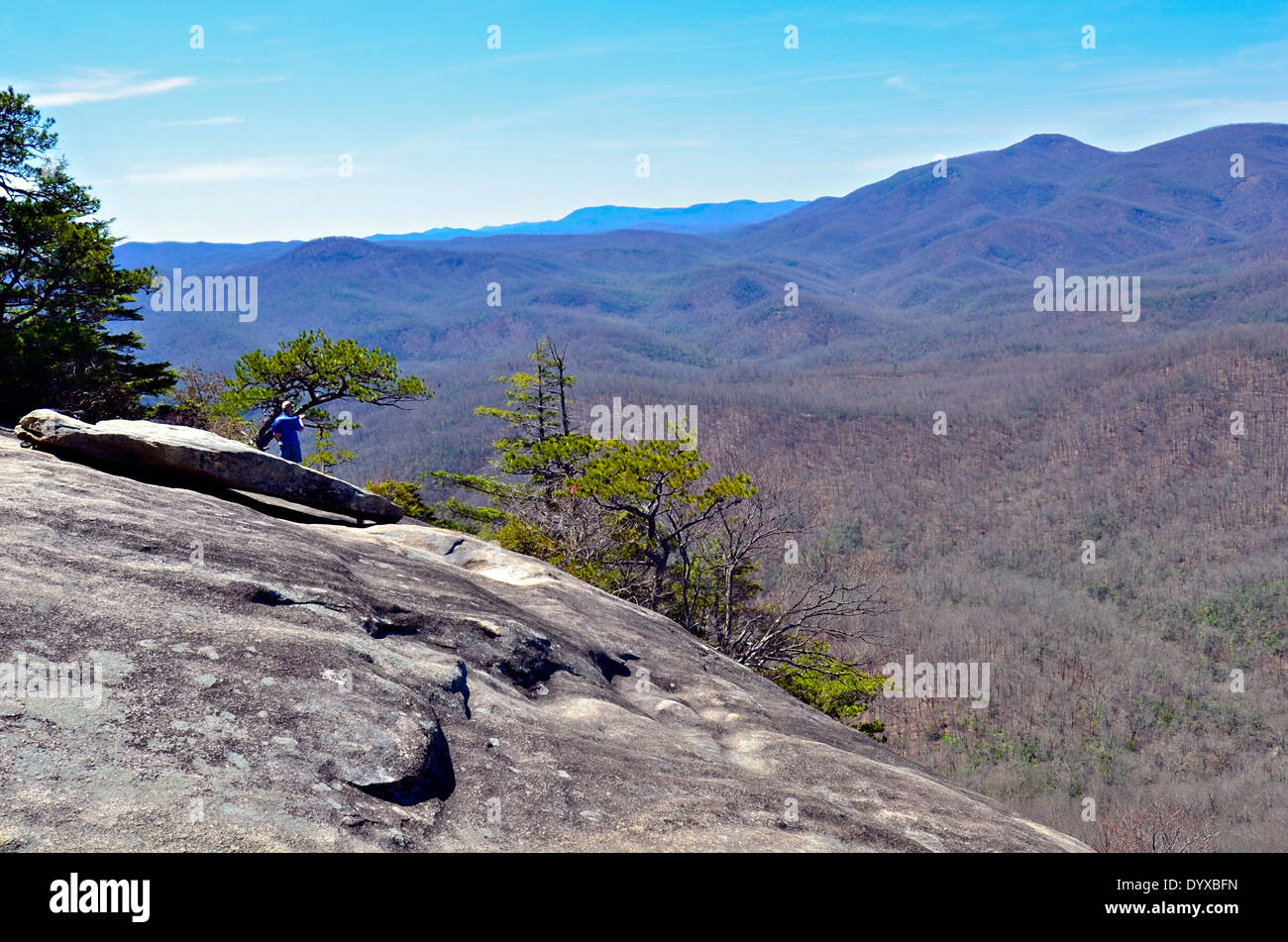 Mann auf einem Aussichtspunkt an der Spitze von Looking Glass Mountain in den Smoky Mountains im zeitigen Frühjahr. Stockfoto