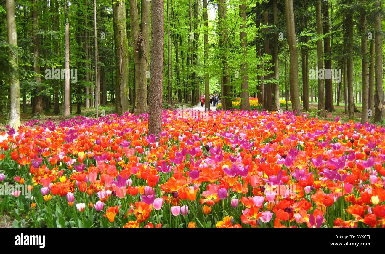 Volcji Fotos und Bildmaterial in hoher Auflösung Alamy
