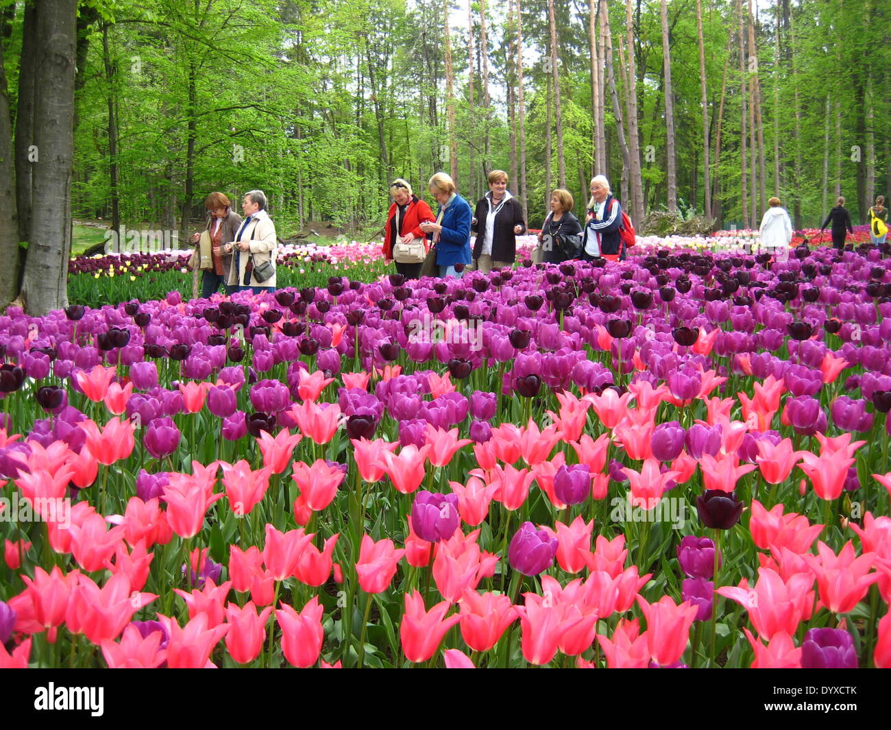 Potok Kamnik Stockfotos und bilder Kaufen Alamy