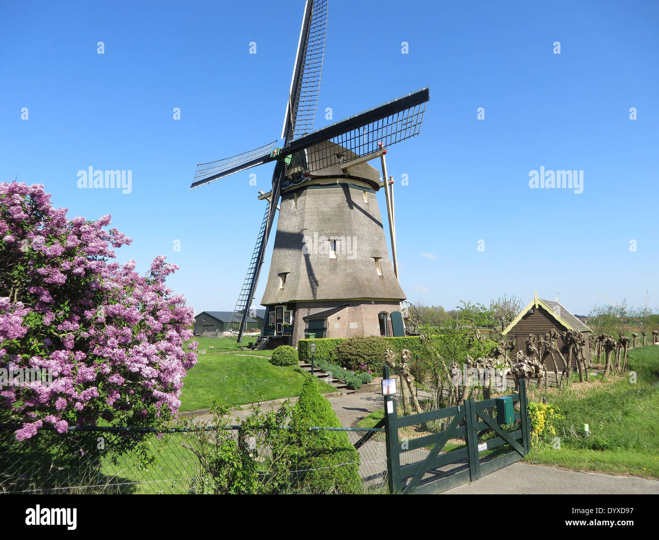 Windmühle am Fluss Amstel in Amsterdam Stockfoto