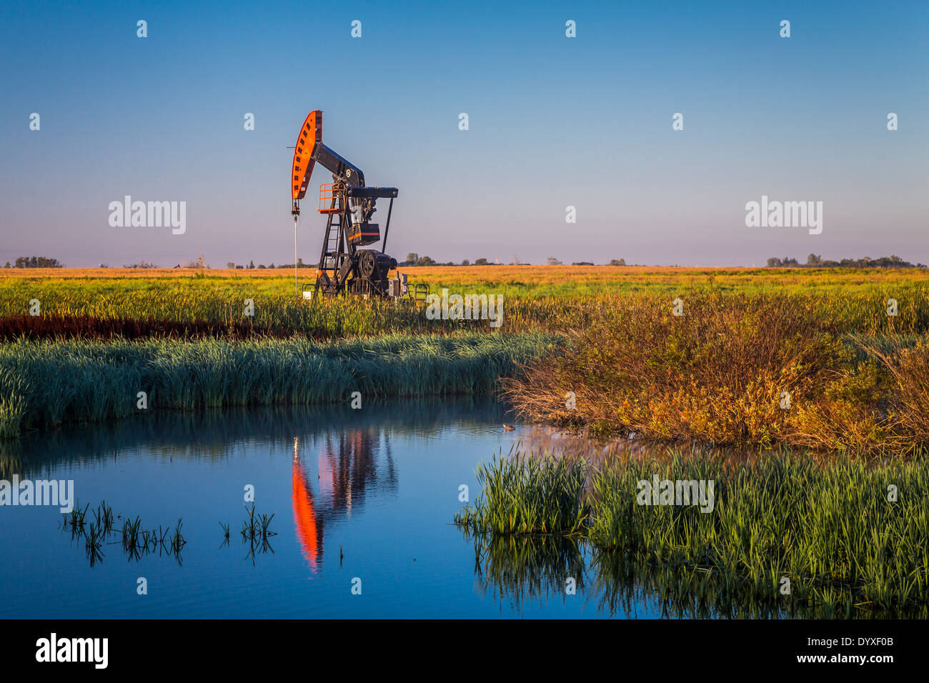 Ein Öl Produktion Pumper im Feld Bakken in der Nähe von Stoughton, Saskatchewan, Kanada. Stockfoto