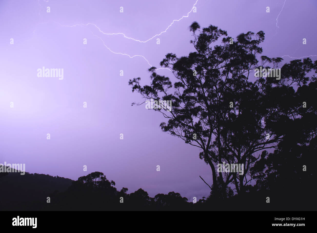 Gewitter, QLD Australien Stockfoto