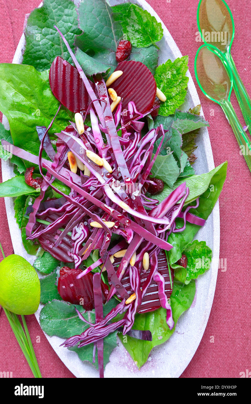 Rotkohl-Salat Stockfoto