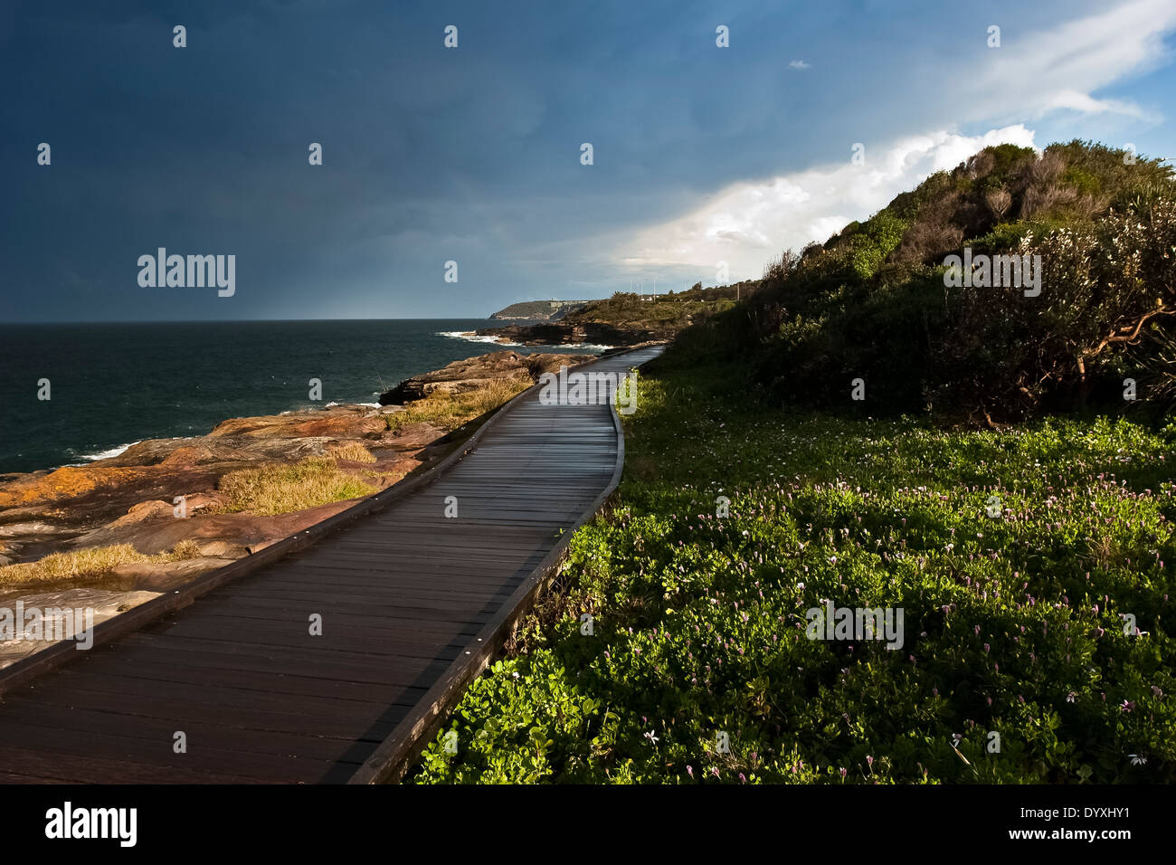 Küsten-Promenade entlang der Felskante und Küstenpflanzen mit wilden dramatischer Himmel an einem Wintertag Stockfoto