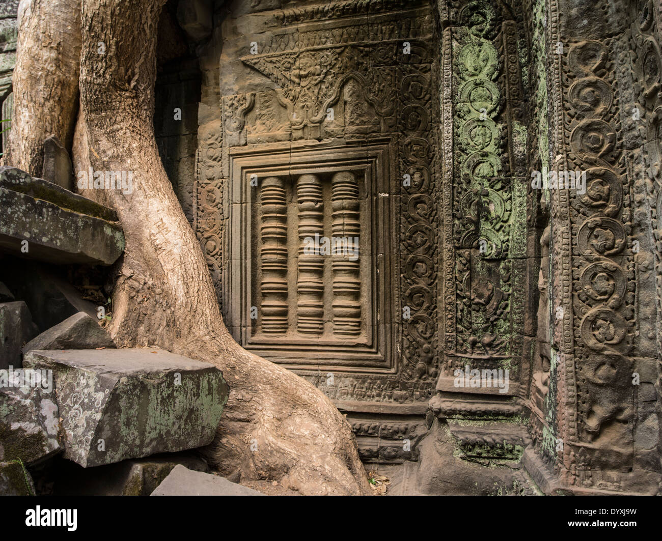 Ta Prohm Tempelruine im Wald. Siem Reap, Kambodscha - Baumwurzel aus Seide – Cotton Tree oder thitpok Stockfoto